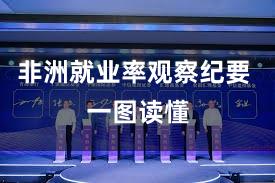 非洲就业率观察纪要 一图读懂